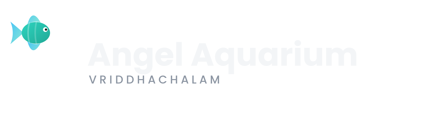 Angel Aquarium
